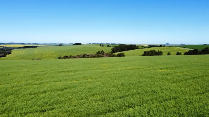 Área rural com 180 hectares em Passo Fundo/RS